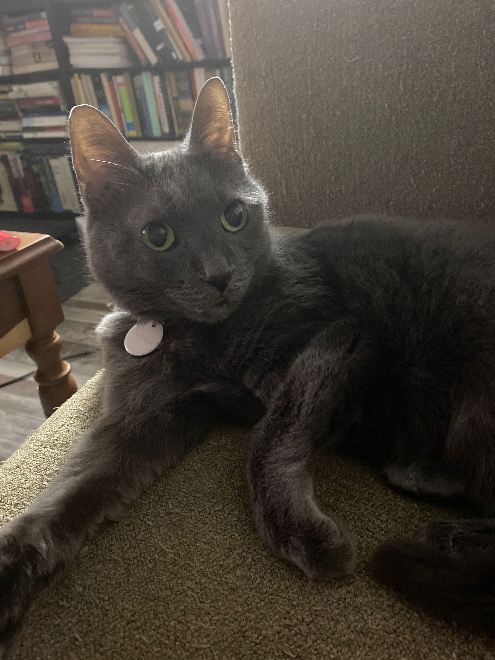 The fierce huntress.